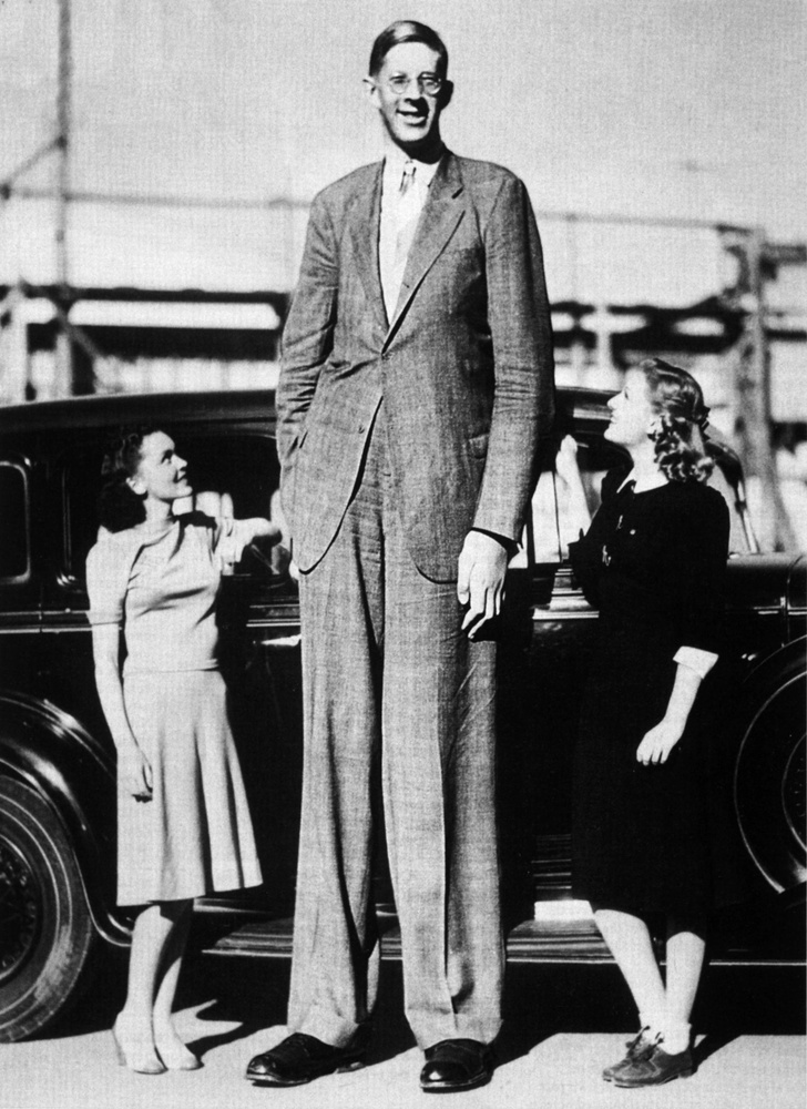 Каков был рост самого высокого человека?