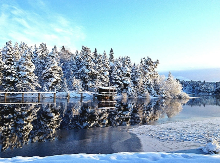 Let it snow: самые снежные страны