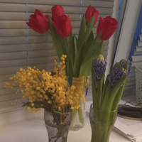 Аватарка Amaretta