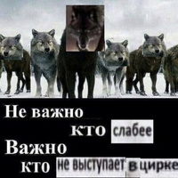 Аватарка Практикующий психолог стаж 10 лет
