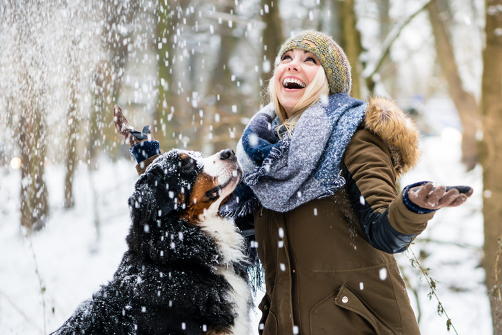 Если вы об этом не знаете — здоровье вашей собаки зимой окажется под угрозой