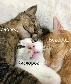 Лучшие шутки и мемы, которые понятны только людям с высшим образованием