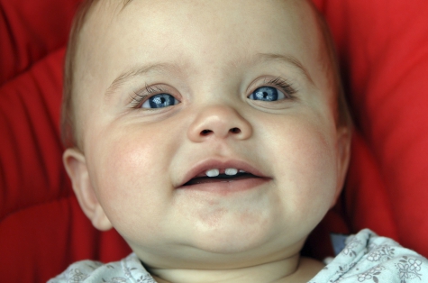 Первый зуб у ребенка фото поздравление