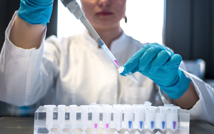 Биофизики МФТИ выяснили, как пиявки могут спасти от тромбоза