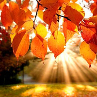 Аватарка Tata