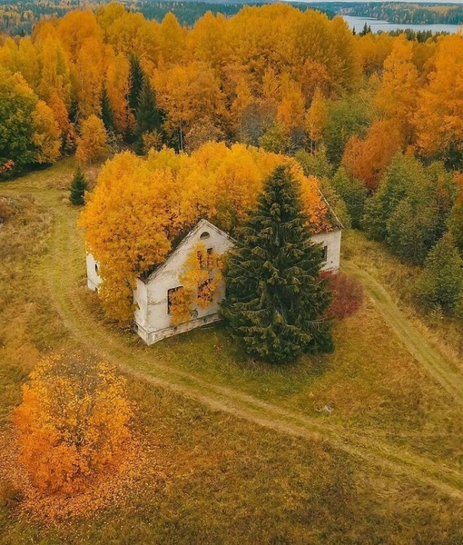 Режим «Сталкер»: 12 красивых фото заброшенных мест