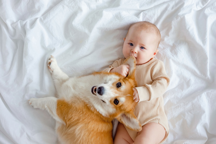 Собака — друг матери! Ученые нашли связь между послеродовой депрессией и домашними животными