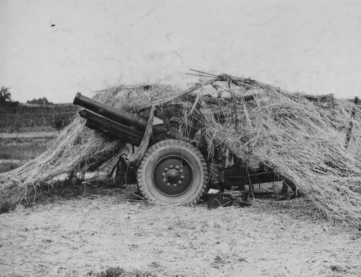 Короли перевоплощения: 17 шедевров военной маскировки