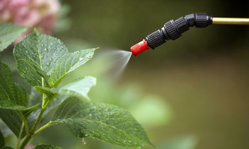 Как применять инсектициды в саду