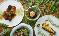 Еловые шишки, мусс с вешенками и пирожок на посошок: ресторанный вкус народной сказки