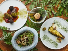 Еловые шишки, мусс с вешенками и пирожок на посошок: ресторанный вкус народной сказки