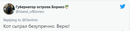 «Твиттер» обсуждает запись с камеры наблюдения, достойную «Оскара» (видео)