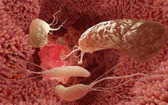 Бомба замедленного воспаления: кишечные микробы могут опасно эволюционировать и попадать в другие органы