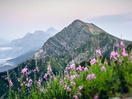 10 причин поехать в горы летом