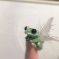 Аватарка Denrine