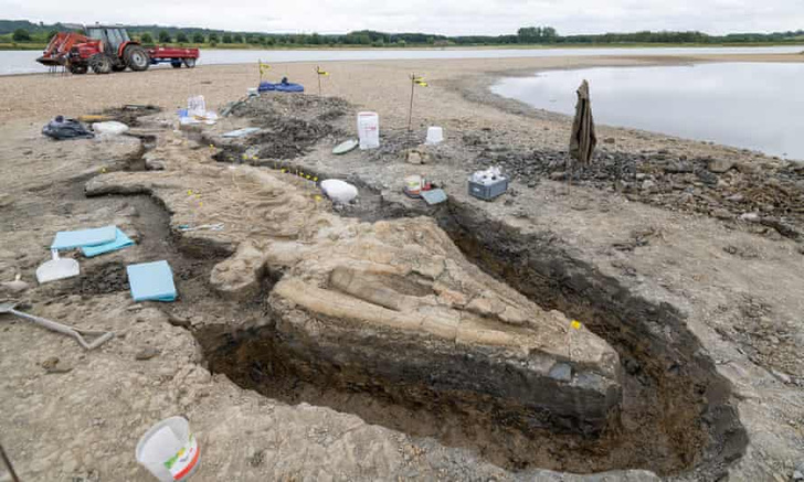 Фото №1 - В Великобритании обнаружили останки «морского дракона»