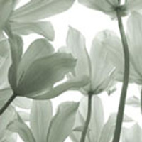 Аватарка valdaika