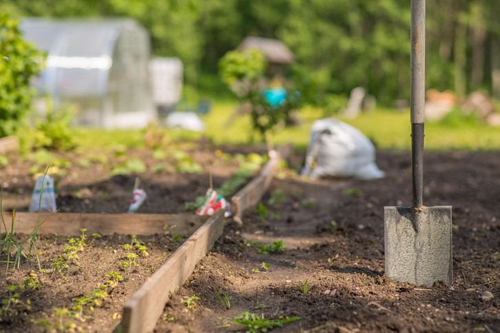 Обработка сада осенью от вредителей — а вы уже это сделали?