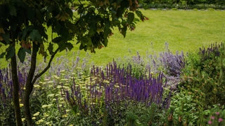 Как создать стильный сад с минимальным уходом: советы экспертов