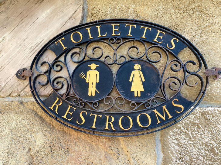 Почему очереди в женский туалет всегда длиннее, чем в мужской? Мы спросили нефролога