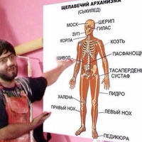 Аватарка vbino