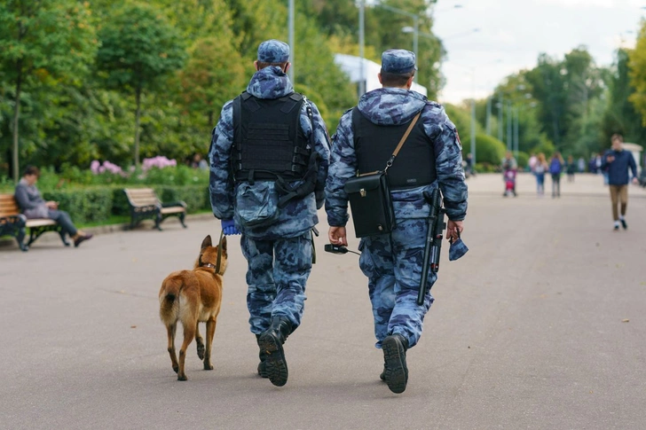 Что такое состояние среднего уровня реагирования и режим боевой готовности