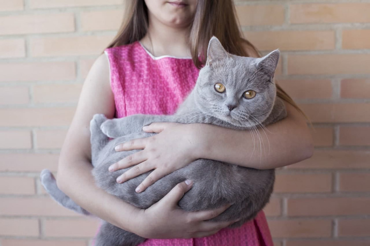 Что делать, если у ребенка аллергия на кошку | WOMAN