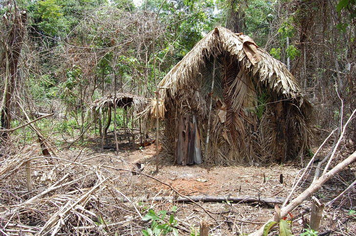 Родных убили, а он прятался в ямах: в Бразилии умер последний представитель племени танару