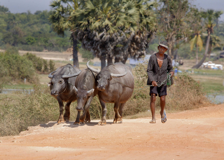 Кхмерский вариант «светлого будущего»: как Пол Пот уничтожил свою страну и народ