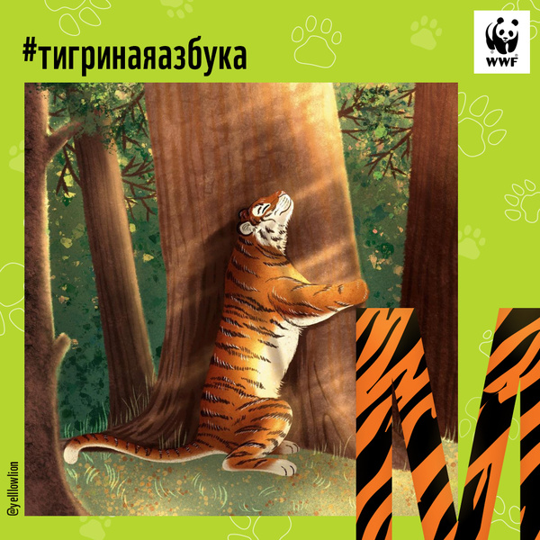 Фото №13 - Тигры от А до Я: WWF России и Woman.ru выпустили карточки об амурском тигре