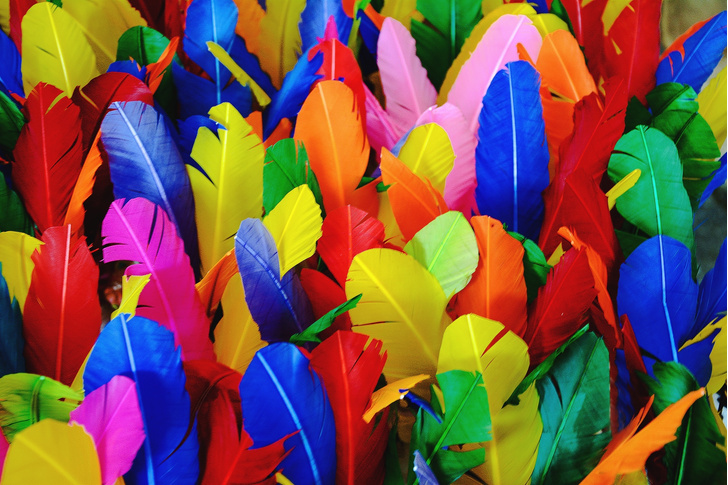как покрасить обычные перья в яркий цвет