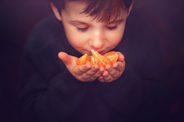 Фото №1 - 8 лучших продуктов питания для зимнего сезона