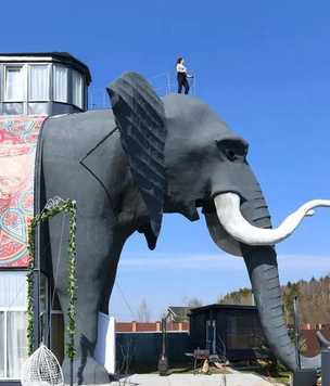Дома-слоны: как выглядят самые необычные дома Подмосковья снаружи и внутри