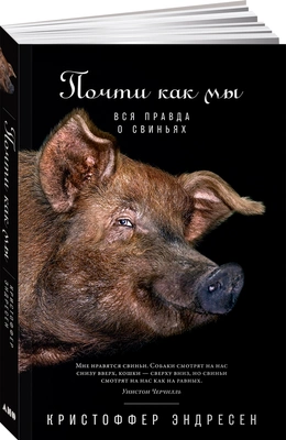 Читайте книгу целиком