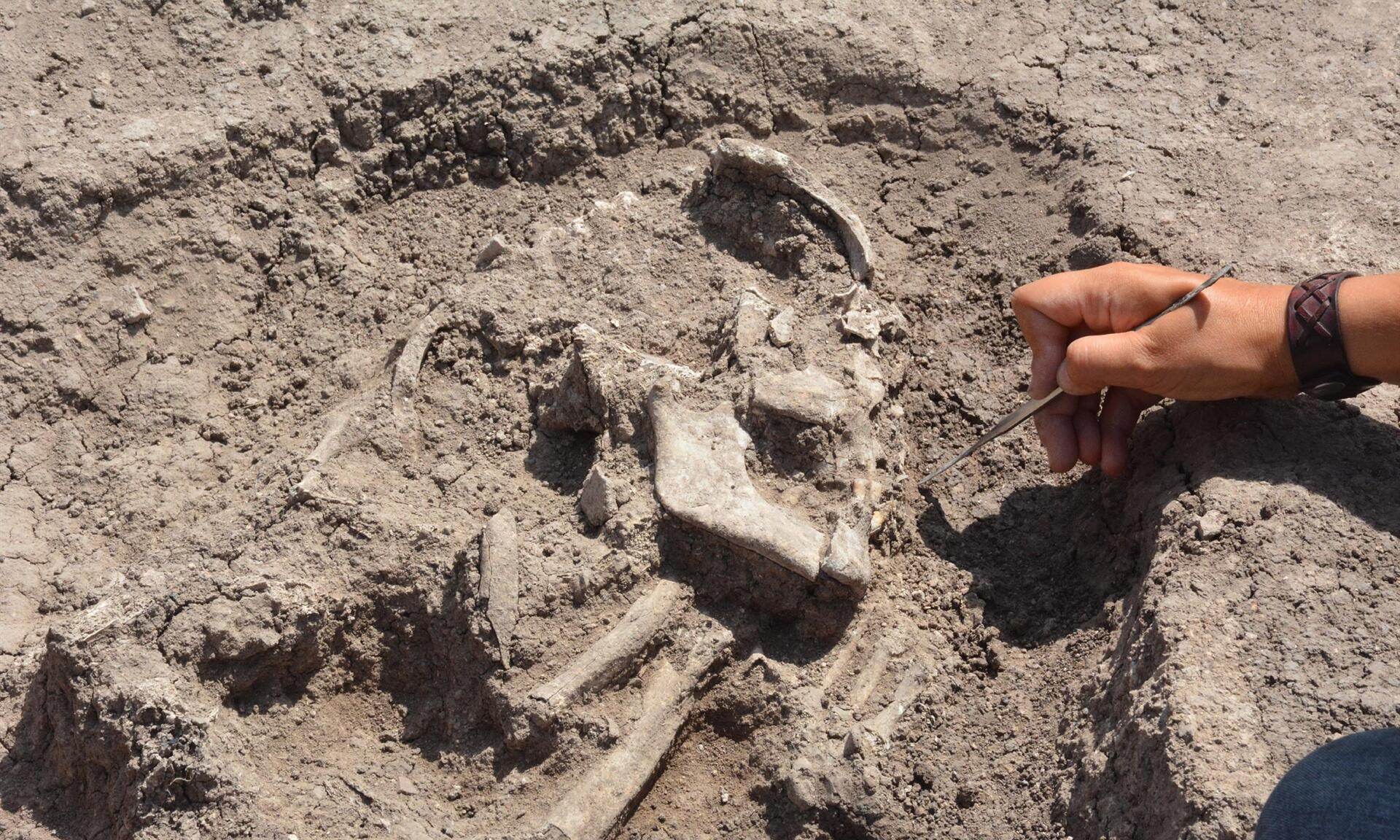 В Турции обнаружили следы неизвестной цивилизации