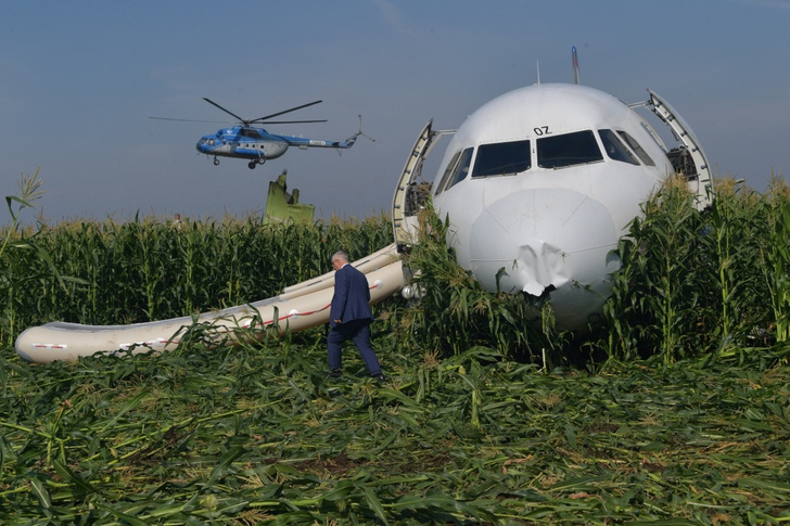 Пилотам, посадившим самолет на кукурузном поле, присвоили звания Героев России