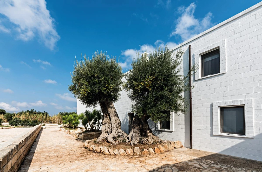 Отель Masseria Torrepietra в Апулии по проекту M+T Architetti | Источник: Vito Covarsce