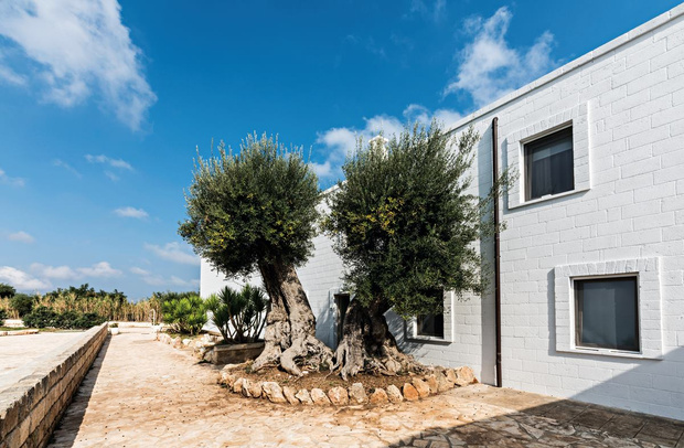 Фото №1 - Отель Masseria Torrepietra в Апулии по проекту M+T Architetti
