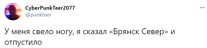 Лучшие шутки про пароль «Брянск север», защищающий от полиции на митингах