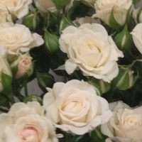 Аватарка Marta_de