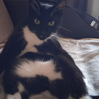 Аватарка Ksuxa