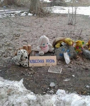 21 картинка недели и самая полезная в мире программа
