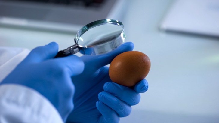 Аллергия на яйца: причины и профилактика