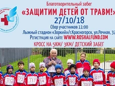 Благотворительный забег «Защитим детей от травм!»