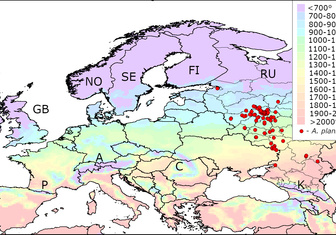 Ученые спрогнозировали нашествие опасного вредителя в Европе и России