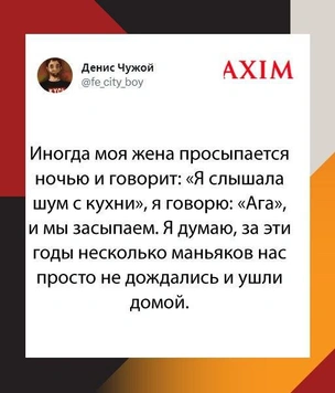 Шутки четверга и собачьи парикмахеры