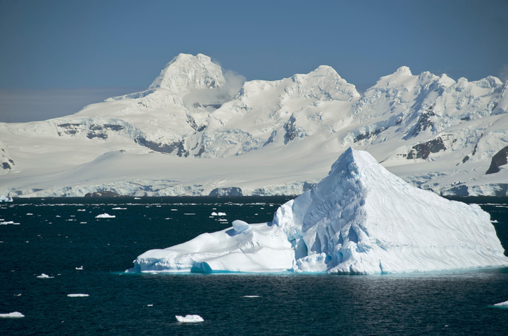 Популяция в опасности: что грозит крупнейшему сухопутному животному Антарктиды?