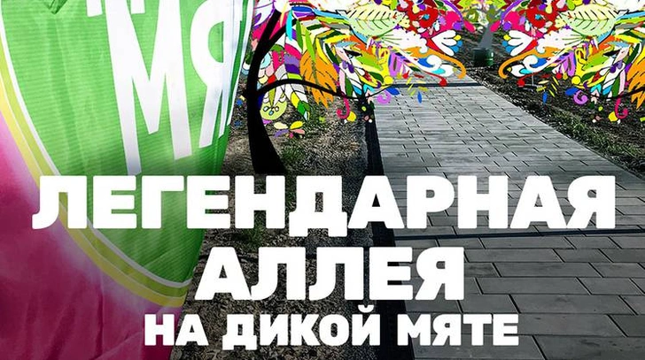 На поле фестиваля «Дикая Мята» будет заложена «легендарная» аллея! | www.starhit.ru