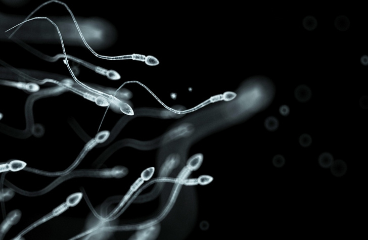 «Если надо, поделюсь!»: как и какие мужчины становятся донорами спермы
