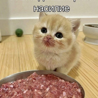 Аватарка SwiftKey